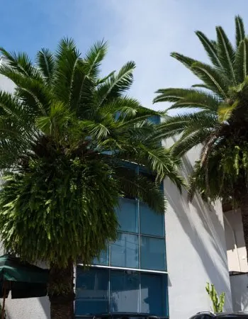 Fachada do Instituto Assaly no Jardim Paulista, São Paulo